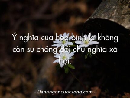 Ý nghĩa của hòa bình là không còn sự chống đối chủ nghĩa xã hội.