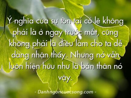Ý nghĩa của sự tồn tại có lẽ không phải là ở ngay trước mắt, cũng không phải là điều làm cho ta dễ dàng nhận thấy. Nhưng nó vẫn luôn hiện hữu như là bản thân nó vậy.