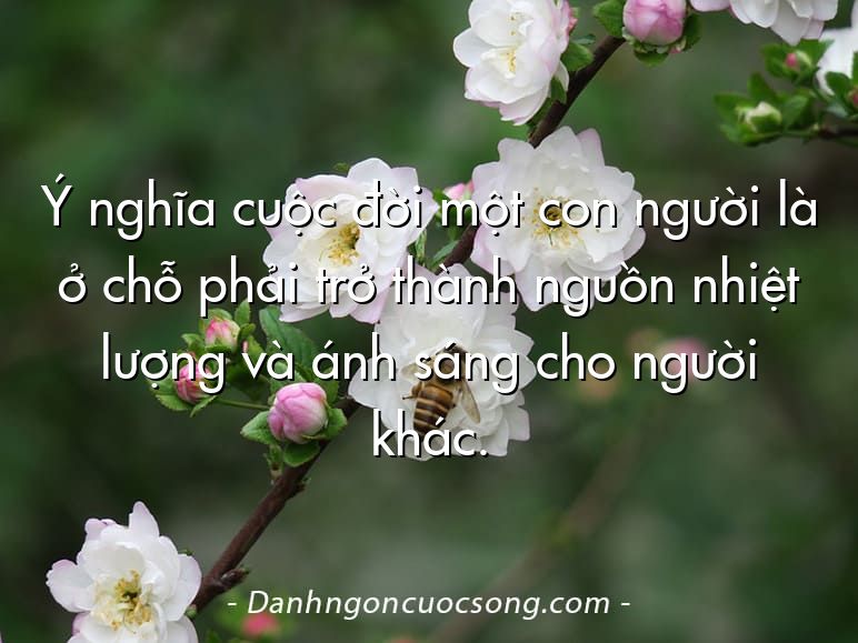 Ý nghĩa cuộc đời một con người là ở chỗ phải trở thành nguồn nhiệt lượng và ánh sáng cho người khác.  