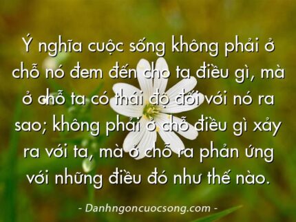 Ý nghĩa cuộc sống không phải ở chỗ nó đem đến cho ta điều gì, mà ở chỗ ta có thái độ đối với nó ra sao; không phải ở chỗ điều gì xảy ra với ta, mà ở chỗ ra phản ứng với những điều đó như thế nào.