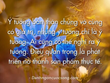 Ý tưởng bản thân chúng vô cùng có giá trị, nhưng ý tưởng chỉ là ý tưởng. Ai cũng có thể nghĩ ra ý tưởng. Điều quan trọng là phát triển nó thành sản phẩm thực tế.