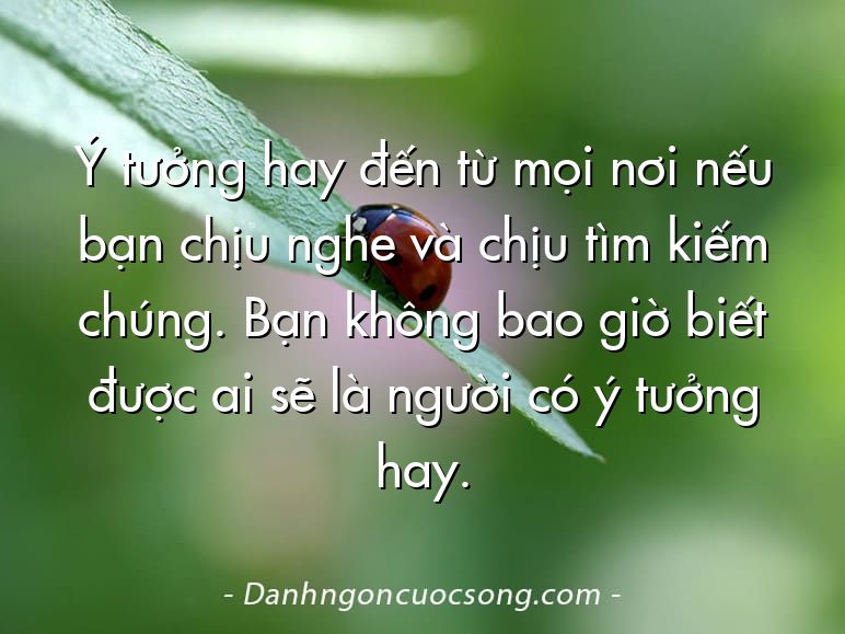 Ý tưởng hay đến từ mọi nơi nếu bạn chịu nghe và chịu tìm kiếm chúng. Bạn không bao giờ biết được ai sẽ là người có ý tưởng hay.
