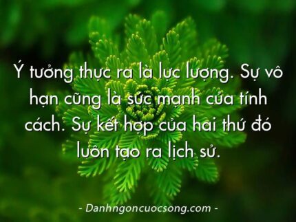 Ý tưởng thực ra là lực lượng. Sự vô hạn cũng là sức mạnh của tính cách. Sự kết hợp của hai thứ đó luôn tạo ra lịch sử.