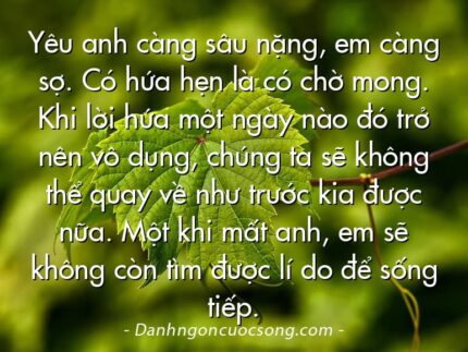 Yêu anh càng sâu nặng, em càng sợ. Có hứa hẹn là có chờ mong. Khi lời hứa một ngày nào đó trở nên vô dụng, chúng ta sẽ không thể quay về như trước kia được nữa. Một khi mất anh, em sẽ không còn tìm được lí do để sống tiếp.