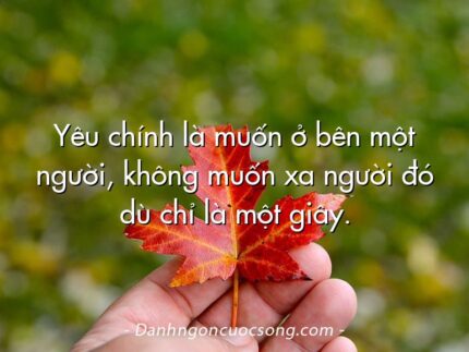 Yêu chính là muốn ở bên một người, không muốn xa người đó dù chỉ là một giây.