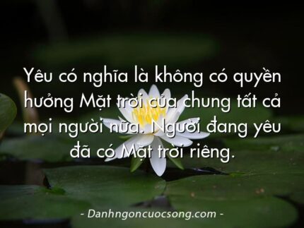 Yêu có nghĩa là không có quyền hưởng Mặt trời của chung tất cả mọi người nữa. Người đang yêu đã có Mặt trời riêng.