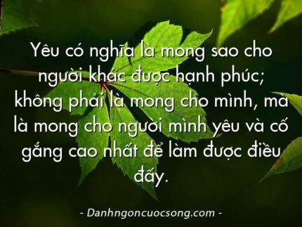 Yêu có nghĩa là mong sao cho người khác được hạnh phúc; không phải là mong cho mình, mà là mong cho người mình yêu và cố gắng cao nhất để làm được điều đấy.