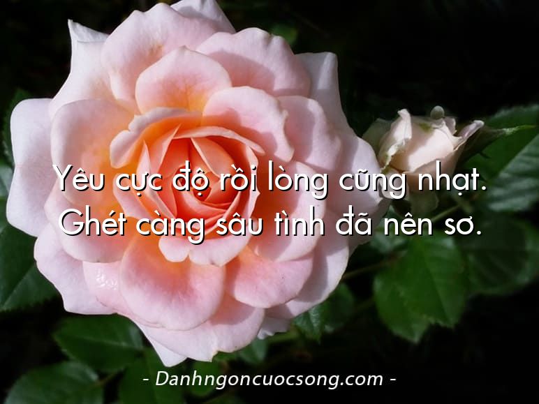 Yêu cực độ rồi lòng cũng nhạt. Ghét càng sâu tình đã nên sơ.