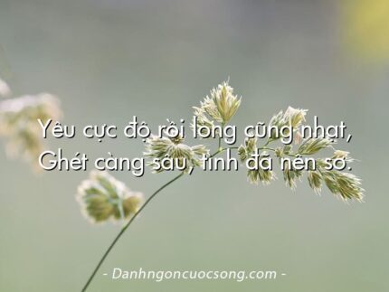 Yêu cực độ rồi lòng cũng nhạt, Ghét càng sâu, tình đã nên sơ.