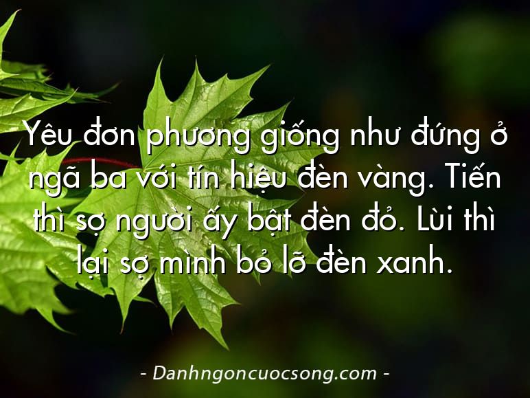 Yêu đơn phương giống như đứng ở ngã ba với tín hiệu đèn vàng. Tiến thì sợ người ấy bật đèn đỏ. Lùi thì lại sợ mình bỏ lỡ đèn xanh.