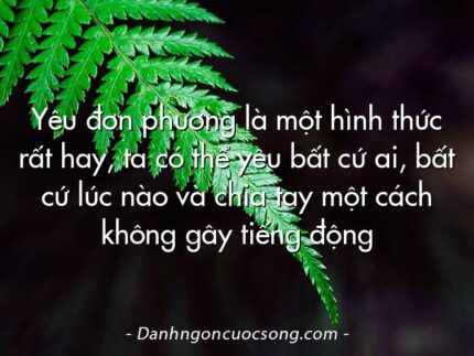 Yêu đơn phương là một hình thức rất hay, ta có thể yêu bất cứ ai, bất cứ lúc nào và chia tay một cách không gây tiếng động