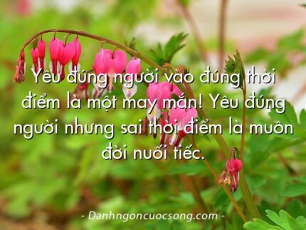 Yêu đúng người vào đúng thời điểm là một may mắn! Yêu đúng người nhưng sai thời điểm là muôn đời nuối tiếc.
