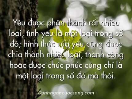 Yêu được phân thành rất nhiều loại, tình yêu là một loại trong số đó; hình thức của yêu cũng được chia thành nhiều loại, thành công hoặc được chúc phúc cũng chỉ là một loại trong số đó mà thôi.