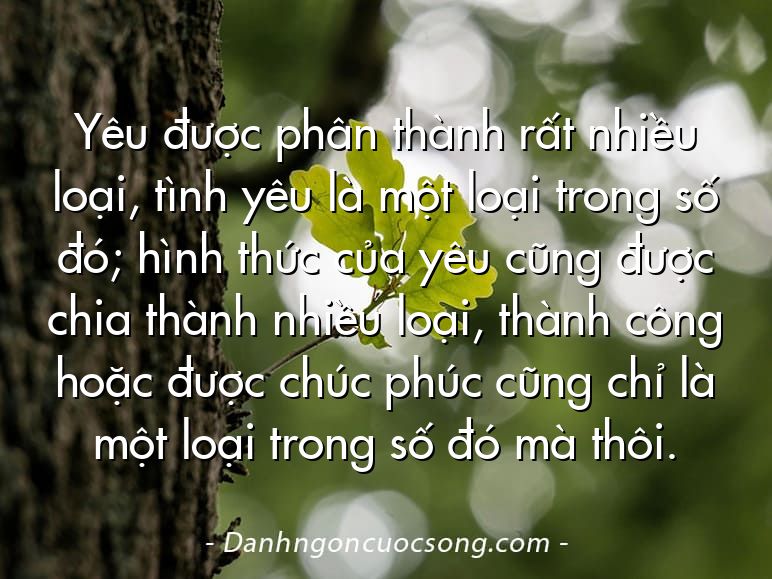 Yêu được phân thành rất nhiều loại, tình yêu là một loại trong số đó; hình thức của yêu cũng được chia thành nhiều loại, thành công hoặc được chúc phúc cũng chỉ là một loại trong số đó mà thôi.
