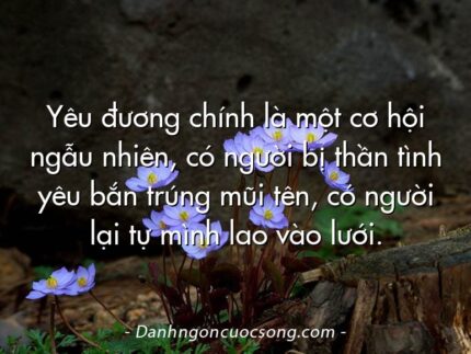 Yêu đương chính là một cơ hội ngẫu nhiên, có người bị thần tình yêu bắn trúng mũi tên, có người lại tự mình lao vào lưới.