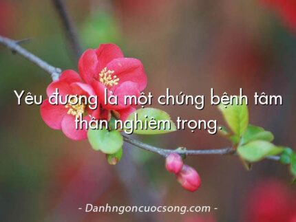 Yêu đương là một chứng bệnh tâm thần nghiêm trọng.