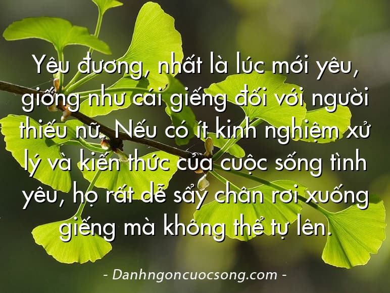 Yêu đương, nhất là lúc mới yêu, giống như cái giếng đối với người thiếu nữ. Nếu có ít kinh nghiệm xử lý và kiến thức của cuộc sống tình yêu, họ rất dễ sẩy chân rơi xuống giếng mà không thể tự lên.