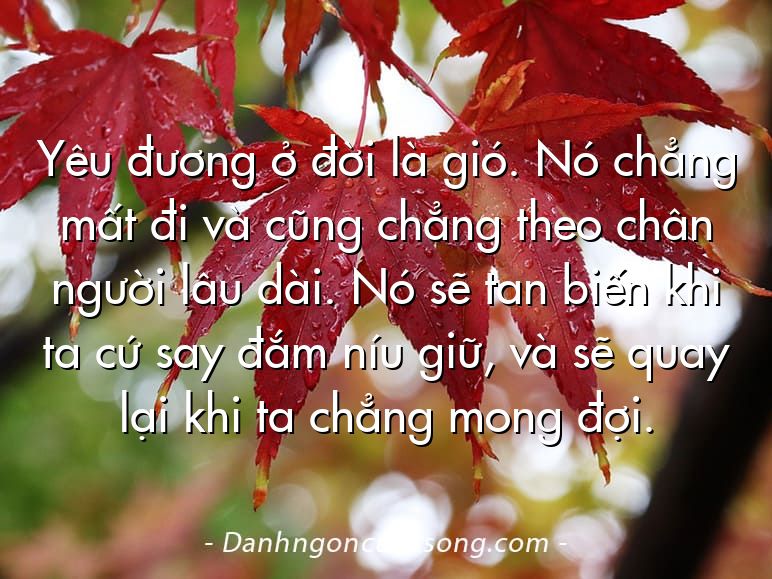 Yêu đương ở đời là gió. Nó chẳng mất đi và cũng chẳng theo chân người lâu dài. Nó sẽ tan biến khi ta cứ say đắm níu giữ, và sẽ quay lại khi ta chẳng mong đợi.