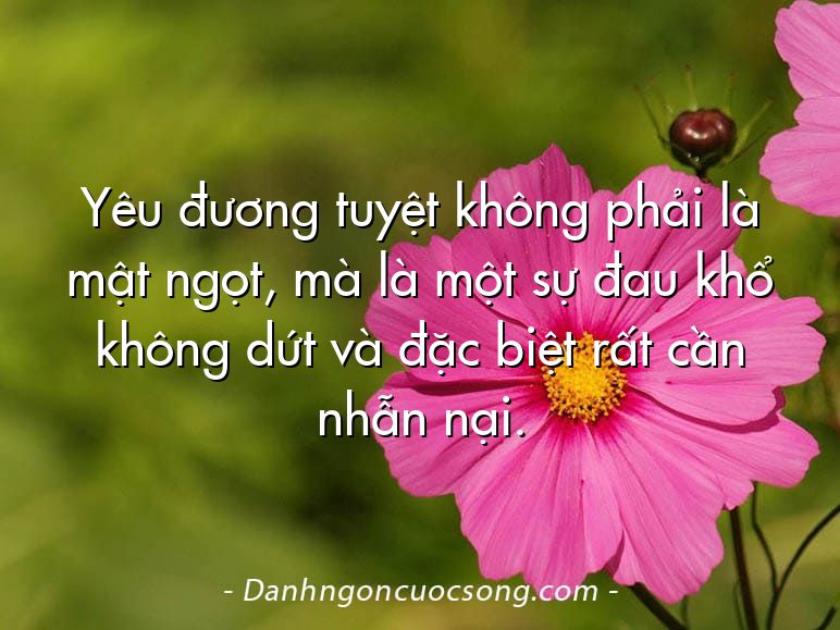 Yêu đương tuyệt không phải là mật ngọt, mà là một sự đau khổ không dứt và đặc biệt rất cần nhẫn nại.