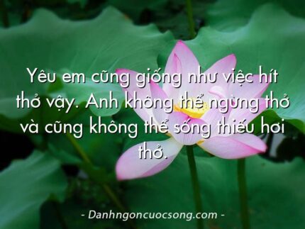 Yêu em cũng giống như việc hít thở vậy. Anh không thể ngừng thở và cũng không thể sống thiếu hơi thở.
