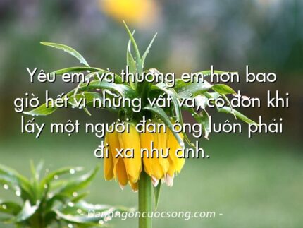 Yêu em, và thương em hơn bao giờ hết vì những vất vả, cô đơn khi lấy một người đàn ông luôn phải đi xa như anh.