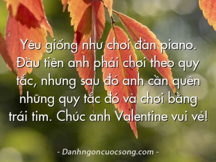 Yêu giống như chơi đàn piano. Đầu tiên anh phải chơi theo quy tắc, nhưng sau đó anh cần quên những quy tắc đó và chơi bằng trái tim. Chúc anh Valentine vui vẻ!