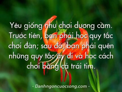 Yêu giống như chơi dương cầm. Trước tiên, bạn phải học quy tắc chơi đàn; sau đó, bạn phải quên những quy tắc ấy đi và học cách chơi bằng cả trái tim.