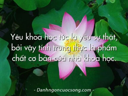 Yêu khoa học tức là yêu sự thật, bởi vậy tính trung thực là phẩm chất cơ bản của nhà khoa học.