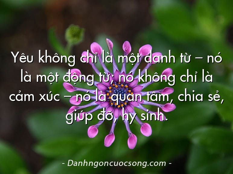 Yêu không chỉ là một danh từ – nó là một động từ; nó không chỉ là cảm xúc – nó là quan tâm, chia sẻ, giúp đỡ, hy sinh.