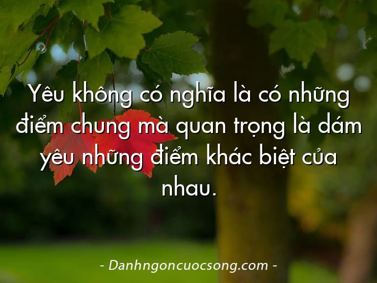 Yêu không có nghĩa là có những điểm chung mà quan trọng là dám yêu những điểm khác biệt của nhau.