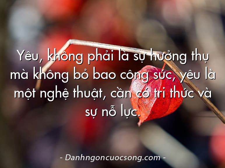 Yêu, không phải là sự hưởng thụ mà không bỏ bao công sức, yêu là một nghệ thuật, cần có tri thức và sự nỗ lực.  