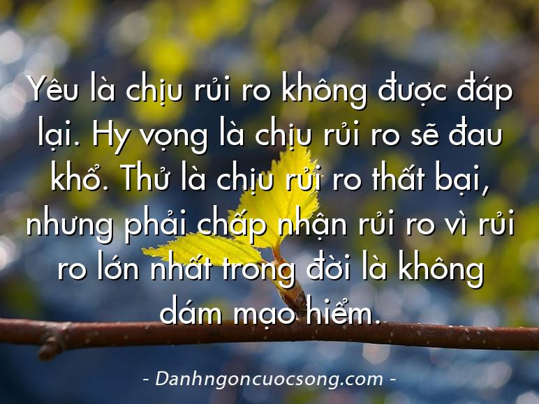 Yêu là chịu rủi ro không được đáp lại. Hy vọng là chịu rủi ro sẽ đau khổ. Thử là chịu rủi ro thất bại, nhưng phải chấp nhận rủi ro vì rủi ro lớn nhất trong đời là không dám mạo hiểm.