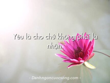 Yêu là cho chứ không phải là nhận.