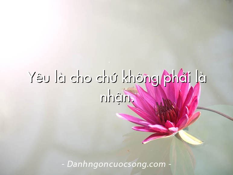 Yêu là cho chứ không phải là nhận.