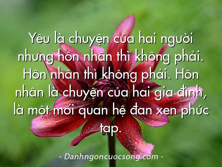 Yêu là chuyện của hai người nhưng hôn nhân thì không phải. Hôn nhân thì không phải. Hôn nhân là chuyện của hai gia đình, là một mối quan hệ đan xen phức tạp.