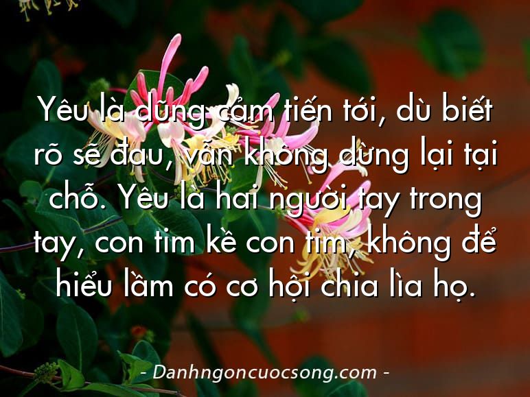 Yêu là dũng cảm tiến tới, dù biết rõ sẽ đau, vẫn không dừng lại tại chỗ. Yêu là hai người tay trong tay, con tim kề con tim, không để hiểu lầm có cơ hội chia lìa họ.