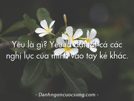 Yêu là gì? Yêu là đặt tất cả các nghị lực của mình vào tay kẻ khác.