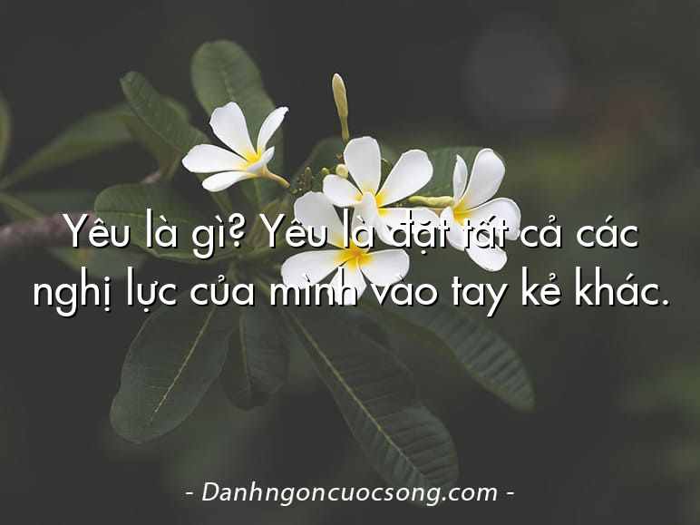 Yêu là gì? Yêu là đặt tất cả các nghị lực của mình vào tay kẻ khác.