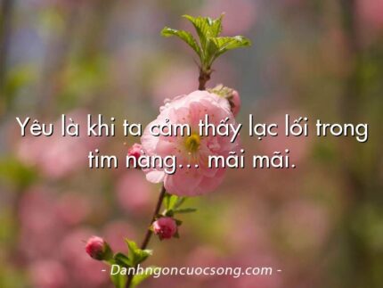 Yêu là khi ta cảm thấy lạc lối trong tim nàng… mãi mãi.