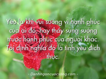 Yêu là khi vui sướng vì hạnh phúc của ai đó, hay thấy sung sướng trước hạnh phúc của người khác. Tôi định nghĩa đó là tình yêu đích thực.