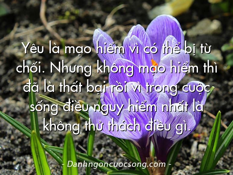 Yêu là mạo hiểm vì có thể bị từ chối. Nhưng không mạo hiểm thì đã là thất bại rồi vì trong cuộc sống điều nguy hiểm nhất là không thử thách điều gì.
