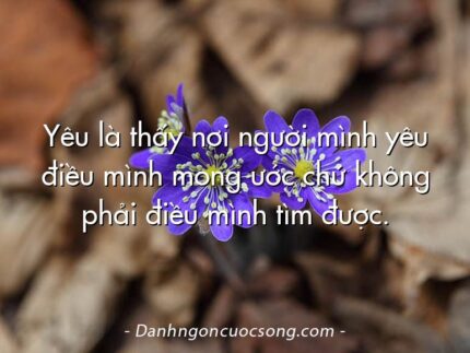 Yêu là thấy nơi người mình yêu điều mình mong ước chứ không phải điều mình tìm được.