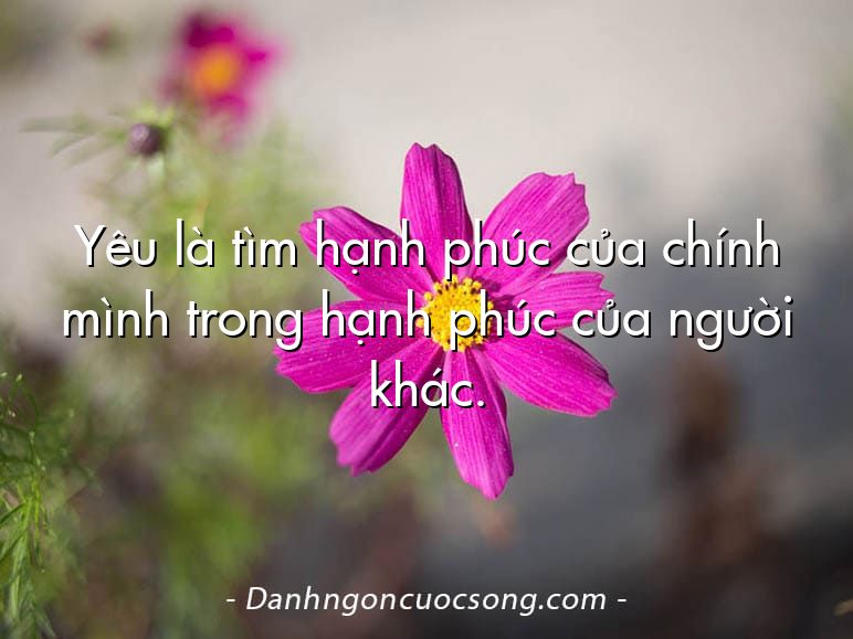 Yêu là tìm hạnh phúc của chính mình trong hạnh phúc của người khác.