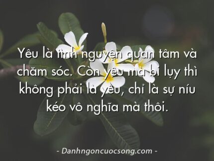 Yêu là tình nguyện quan tâm và chăm sóc. Còn yêu mà bi lụy thì không phải là yêu, chỉ là sự níu kéo vô nghĩa mà thôi.