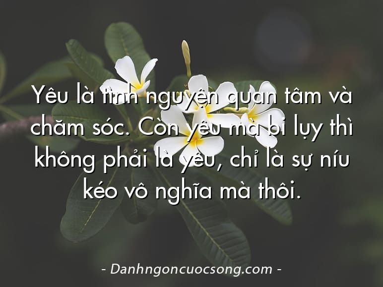 Yêu là tình nguyện quan tâm và chăm sóc. Còn yêu mà bi lụy thì không phải là yêu, chỉ là sự níu kéo vô nghĩa mà thôi.