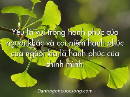 Yêu là vui trong hạnh phúc của người khác và coi niềm hạnh phúc của người kia là hạnh phúc của chính mình.