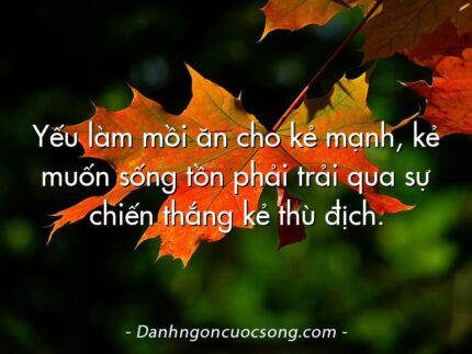 Yếu làm mồi ăn cho kẻ mạnh, kẻ muốn sống tồn phải trải qua sự chiến thắng kẻ thù địch.