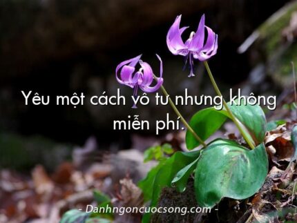 Yêu một cách vô tư nhưng không miễn phí.