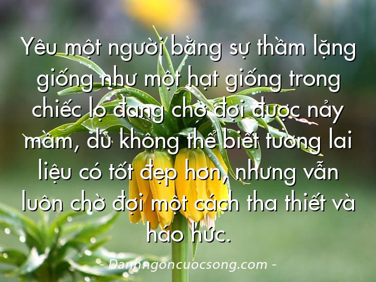 Yêu một người bằng sự thầm lặng giống như một hạt giống trong chiếc lọ đang chờ đợi được nảy mầm, dù không thể biết tương lai liệu có tốt đẹp hơn, nhưng vẫn luôn chờ đợi một cách tha thiết và háo hức.