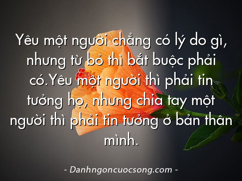 Yêu một người chẳng có lý do gì, nhưng từ bỏ thì bắt buộc phải có.Yêu một người thì phải tin tưởng họ, nhưng chia tay một người thì phải tin tưởng ở bản thân mình.